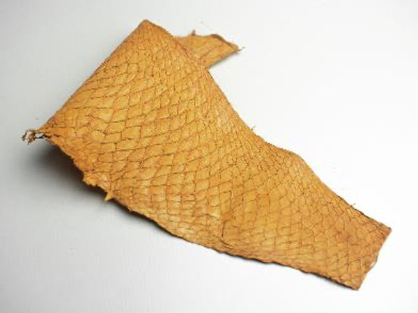 魚種について – tototo